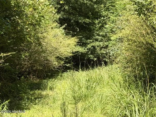 0 Kendricks Mill Road Crawfordville, GA 30631