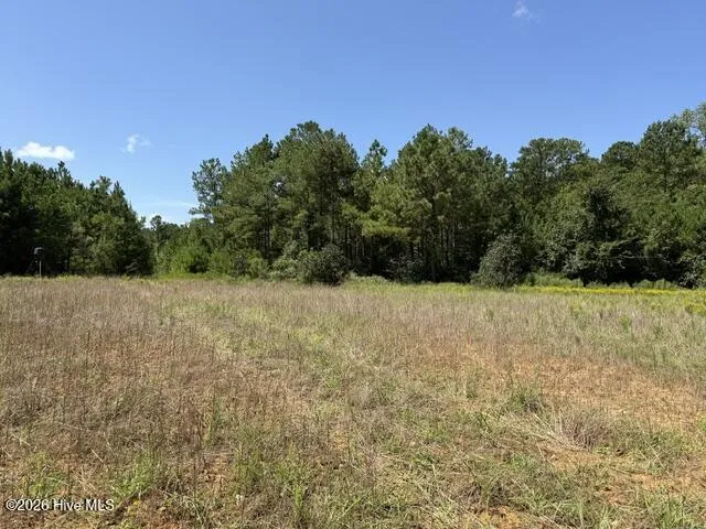 0 Kendricks Mill Road Crawfordville, GA 30631