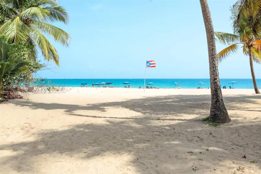 5349 AVE. ISLA VERDE #601 Carolina, PR 00979
