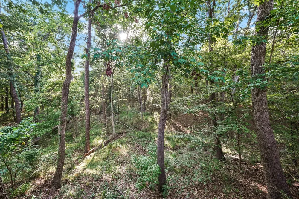 94 Villa Way Coldspring, TX 77331