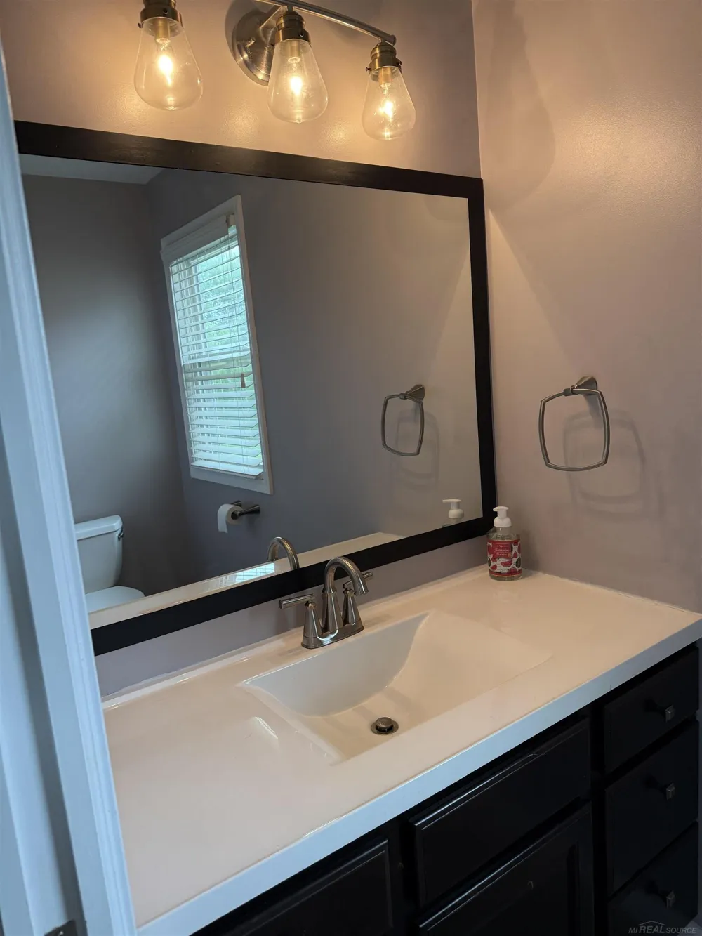 4079 Erin Court Henrietta Township, MI 49272