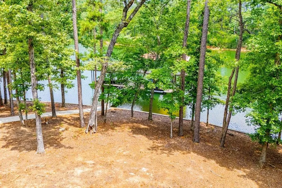 741 Firefly Lane Lineville, AL 36266