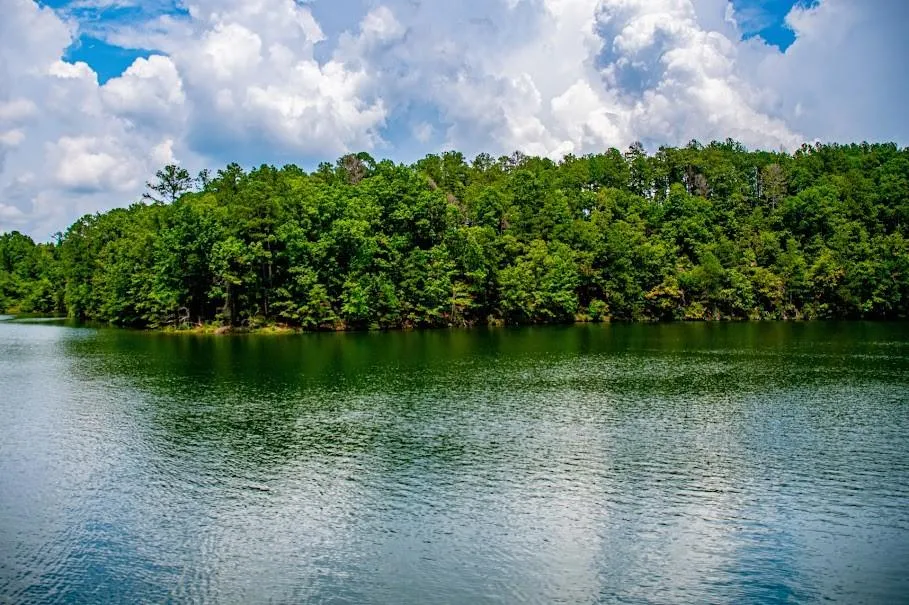 741 Firefly Lane Lineville, AL 36266