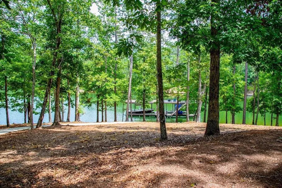741 Firefly Lane Lineville, AL 36266