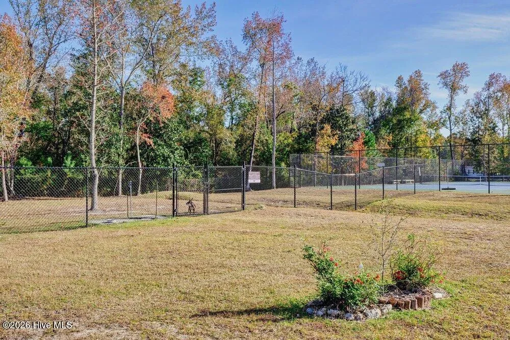 753 Jenoa Drive Castle Hayne, NC 28429