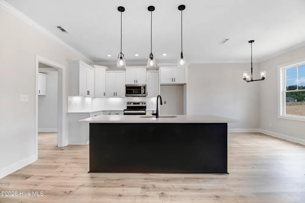 221 Cherrybirch Lane Zebulon, NC 27597