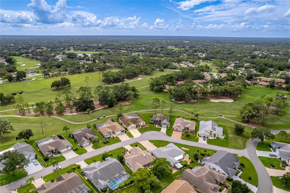 2317 SCENIC HILL DRIVE Spring Hill, FL 34606