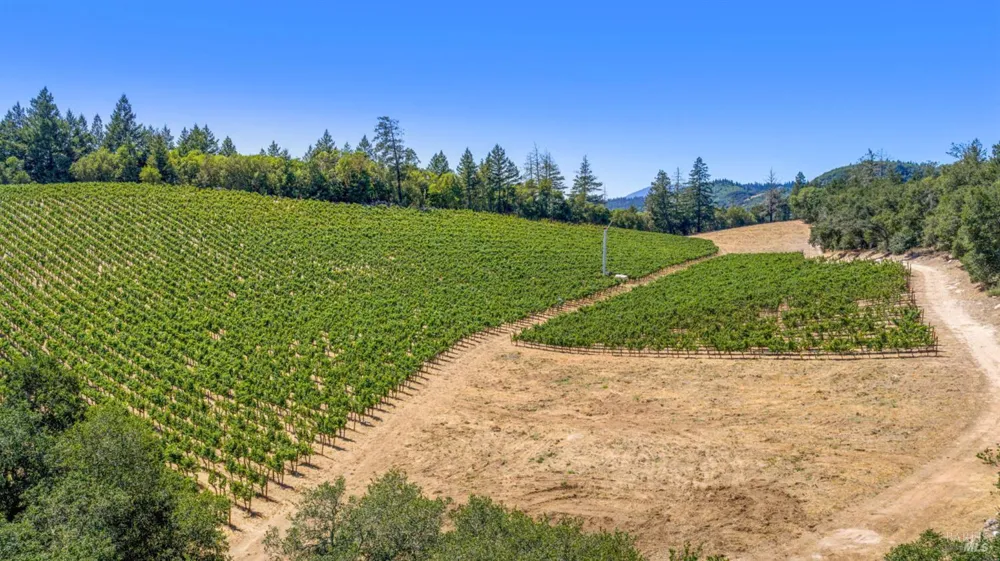 1075 Greenfield Road St. Helena, CA 94574