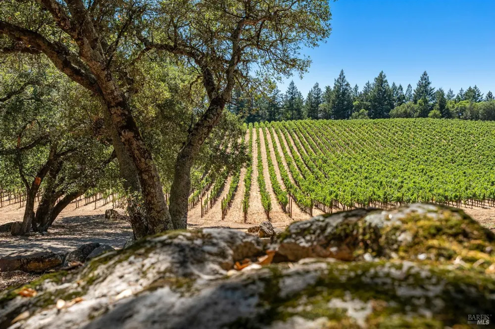 1075 Greenfield Road St. Helena, CA 94574