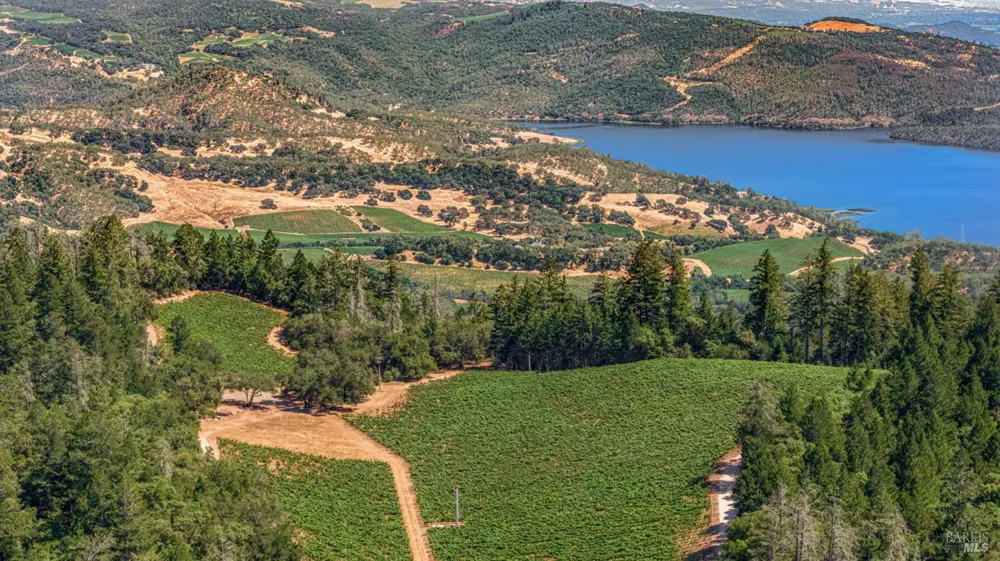 1075 Greenfield Road St. Helena, CA 94574