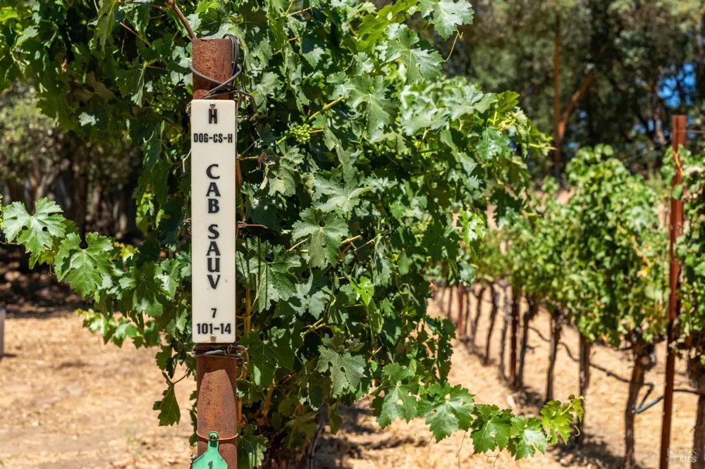 1075 Greenfield Road St. Helena, CA 94574
