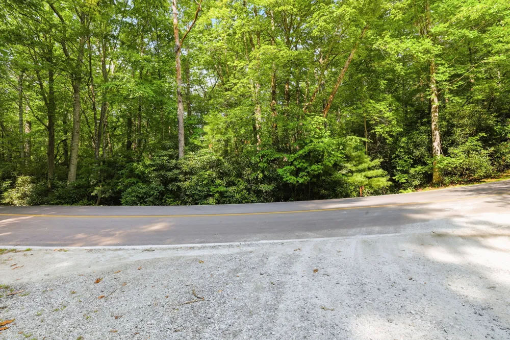 M L33 Cardinal Drive Lake Toxaway, NC 28747
