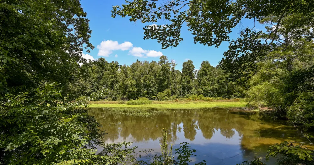 236 Sam Johnson Road NW Georgetown, TN 37336