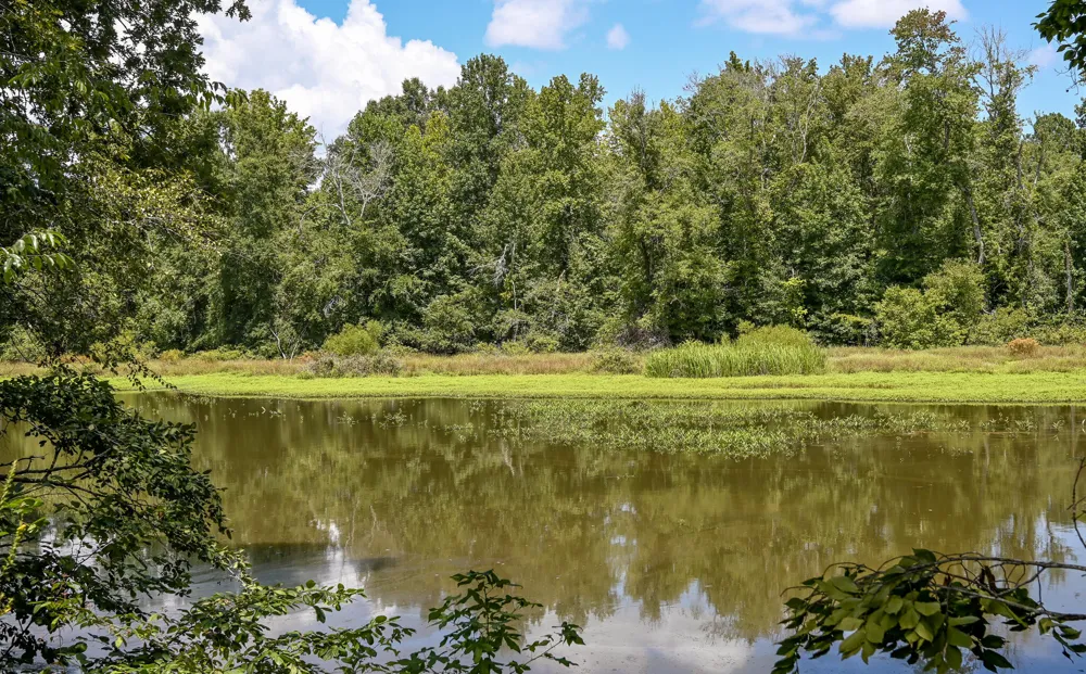 236 Sam Johnson Road NW Georgetown, TN 37336