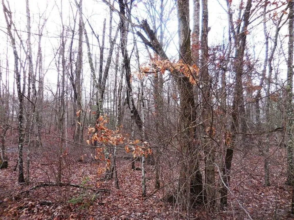 1143 Natchez Crossville, TN 38572