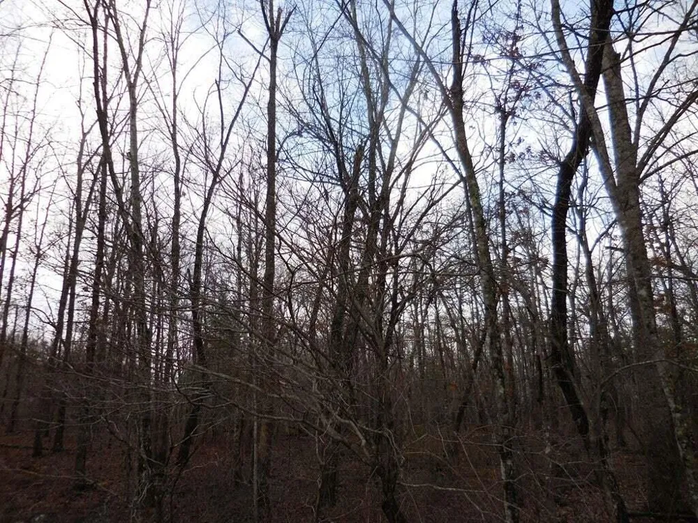 1143 Natchez Crossville, TN 38572