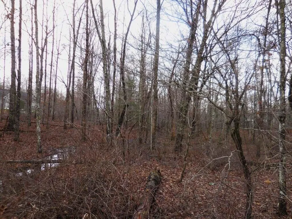 1143 Natchez Crossville, TN 38572