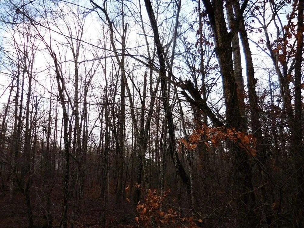 1143 Natchez Crossville, TN 38572