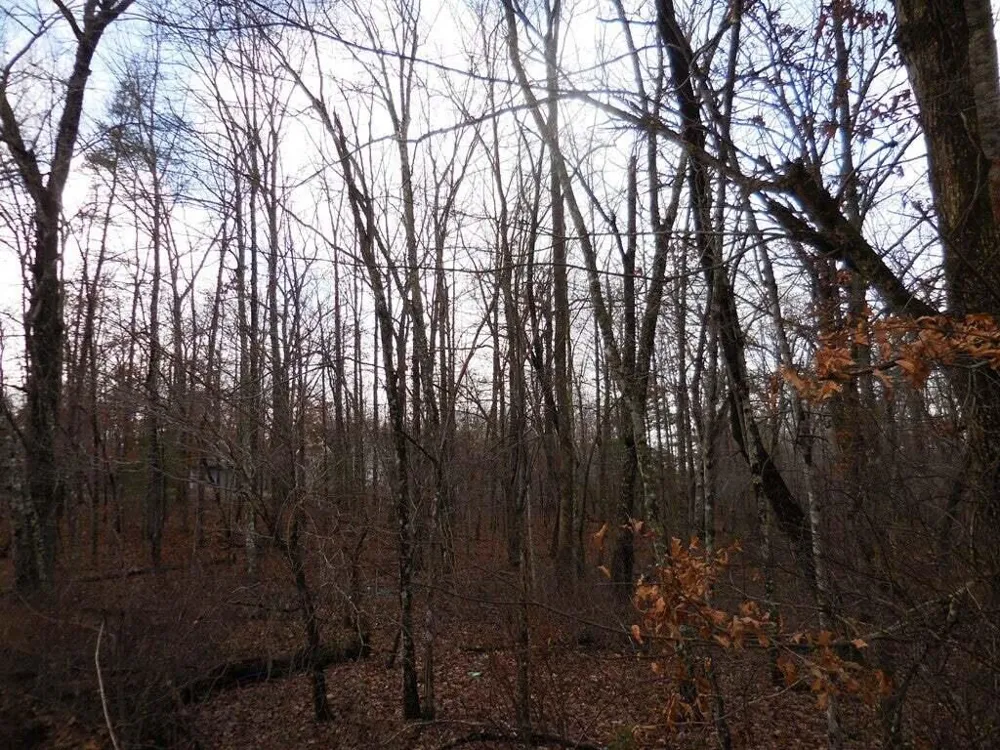 1143 Natchez Crossville, TN 38572