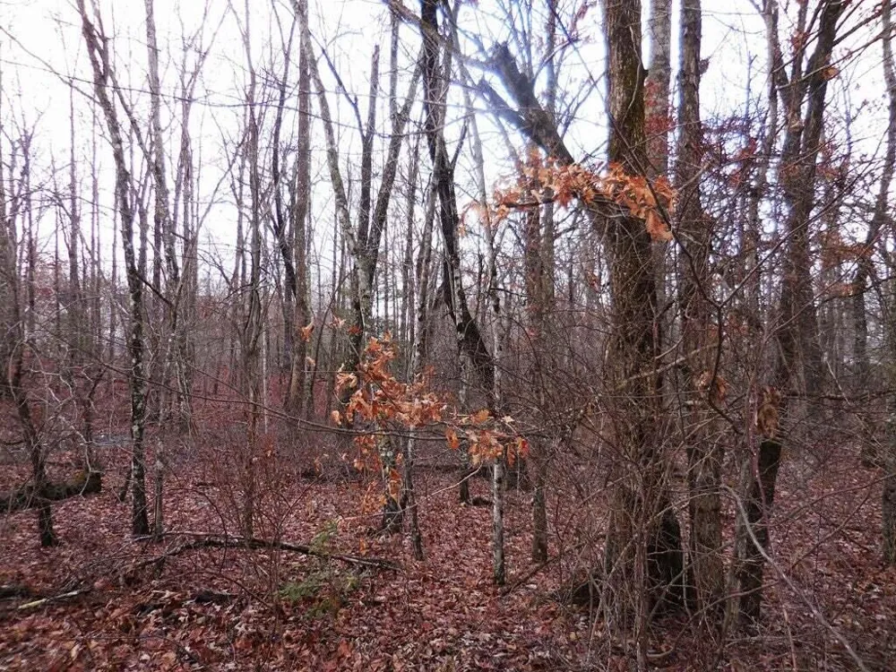 1143 Natchez Crossville, TN 38572