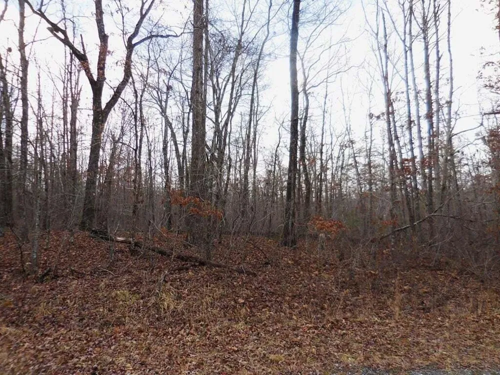 3008 Diego Drive Crossville, TN 38572
