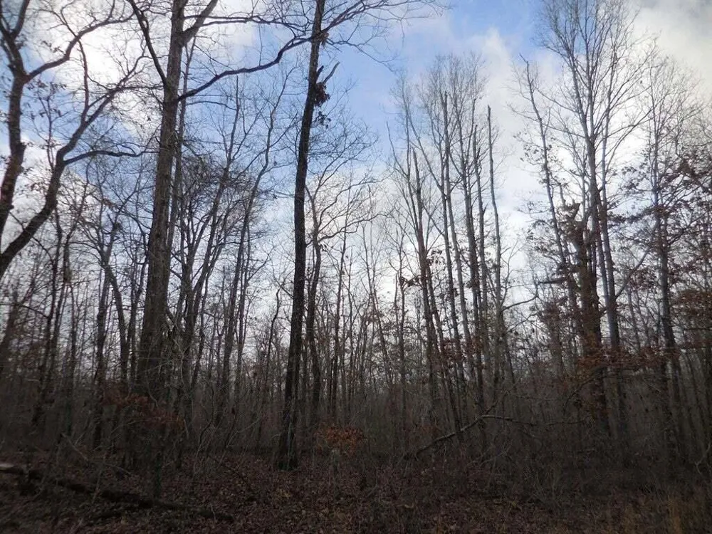 3008 Diego Drive Crossville, TN 38572