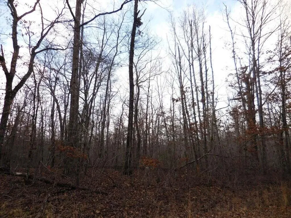 3008 Diego Drive Crossville, TN 38572