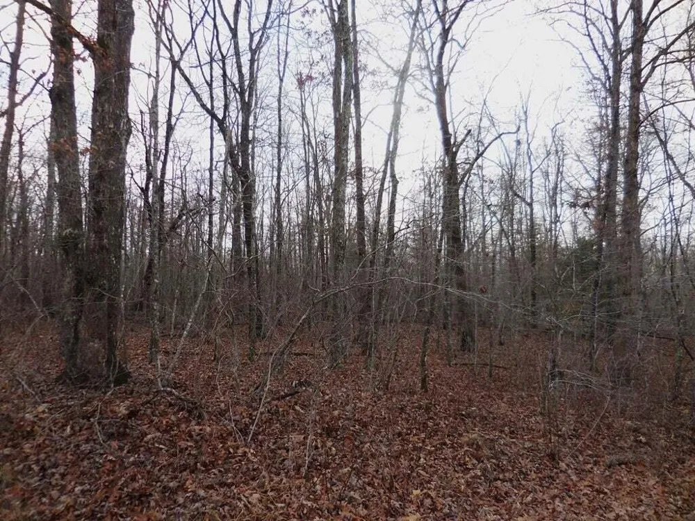 3008 Diego Drive Crossville, TN 38572