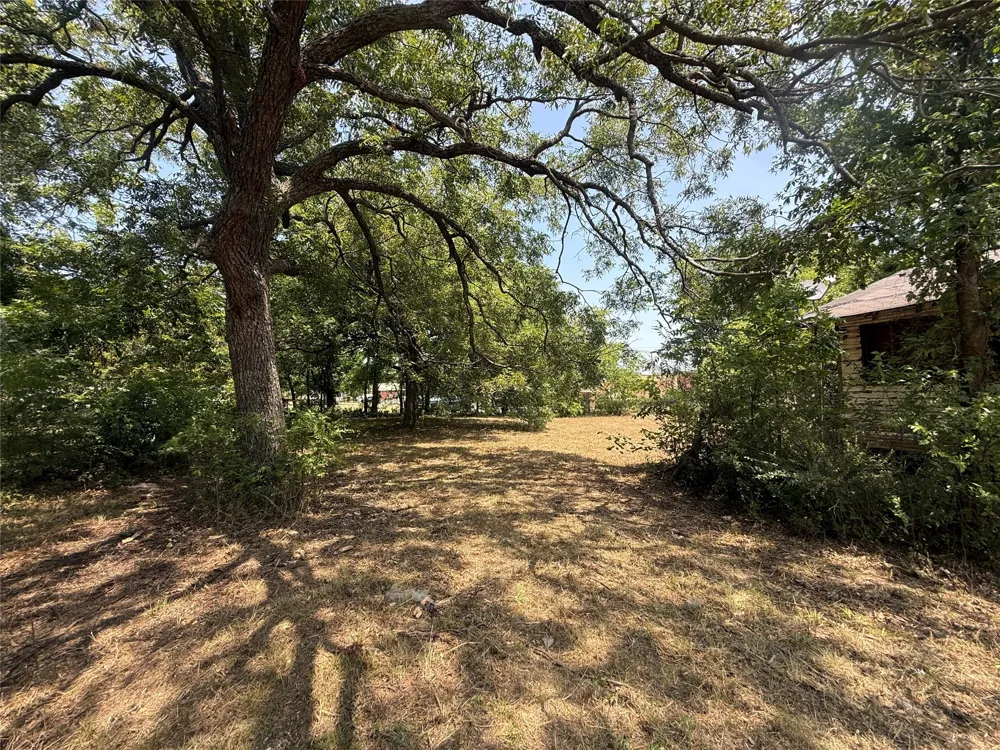 204 W Maple Street Whitewright, TX 75491