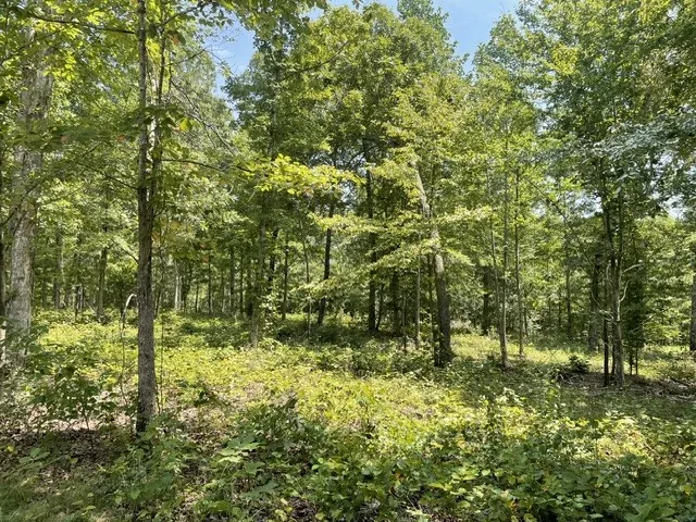 0 Hillcrest Road Waverly, TN 37185