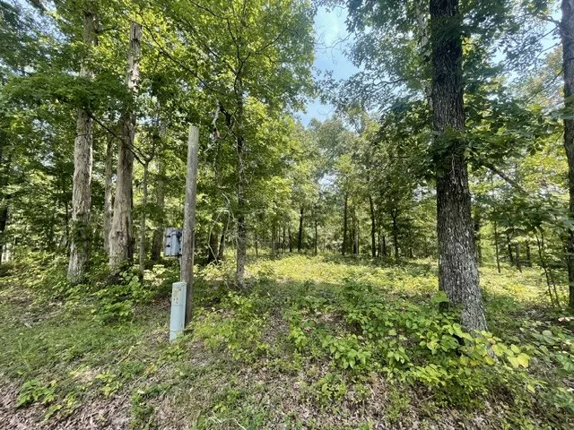 0 Hillcrest Road Waverly, TN 37185