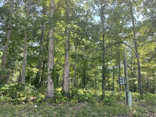 0 Hillcrest Road Waverly, TN 37185