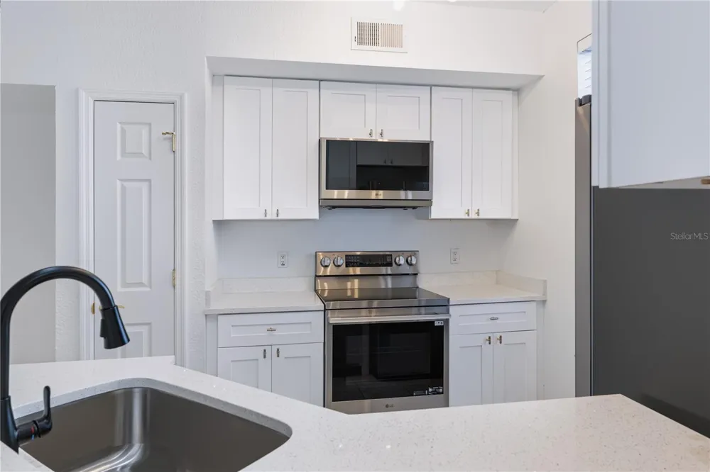 9818 LAKE CHASE ISLAND WAY #9818 Tampa, FL 33626