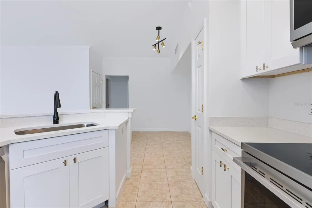 9818 LAKE CHASE ISLAND WAY #9818 Tampa, FL 33626