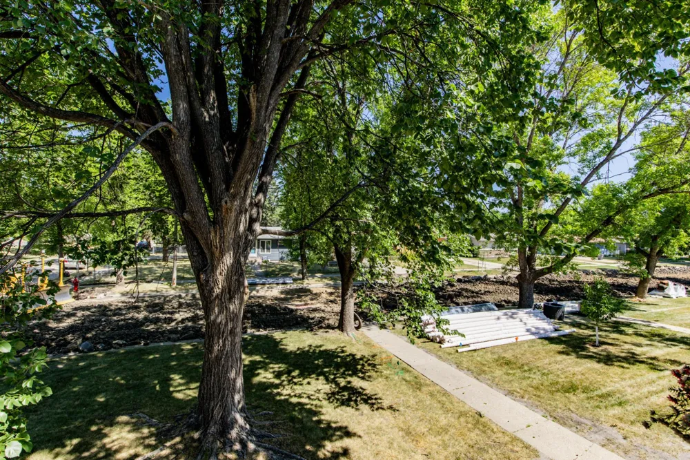 801 23rd Avenue S Moorhead, MN 56560
