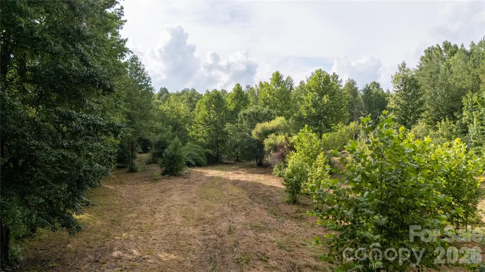 2715 Moose Lodge Street Valdese, NC 28690