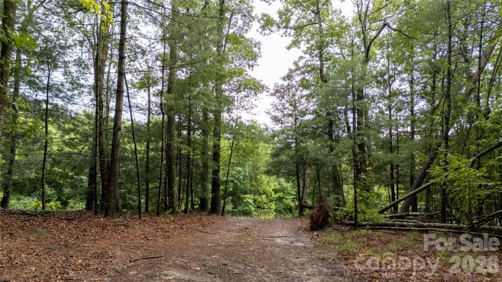 2715 Moose Lodge Street Valdese, NC 28690