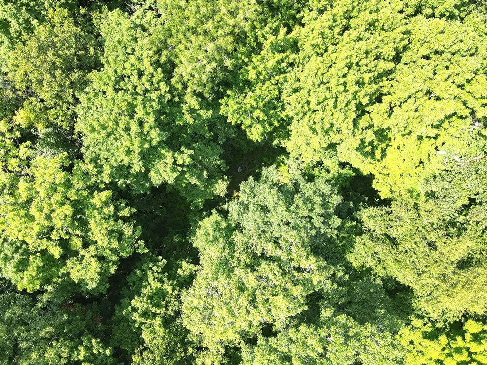 LOT 4 Smith Road Couderay, WI 54828