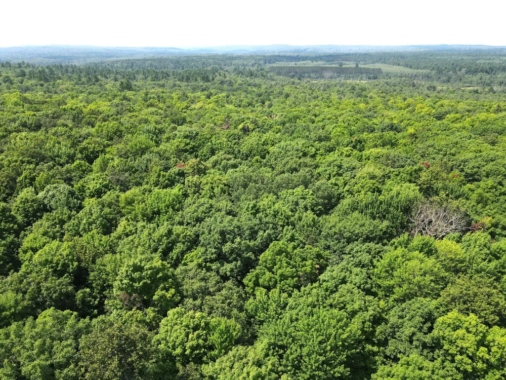 LOT 4 Smith Road Couderay, WI 54828