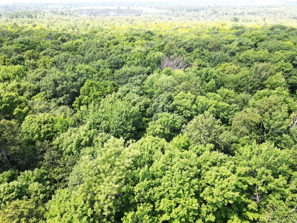 LOT 4 Smith Road Couderay, WI 54828