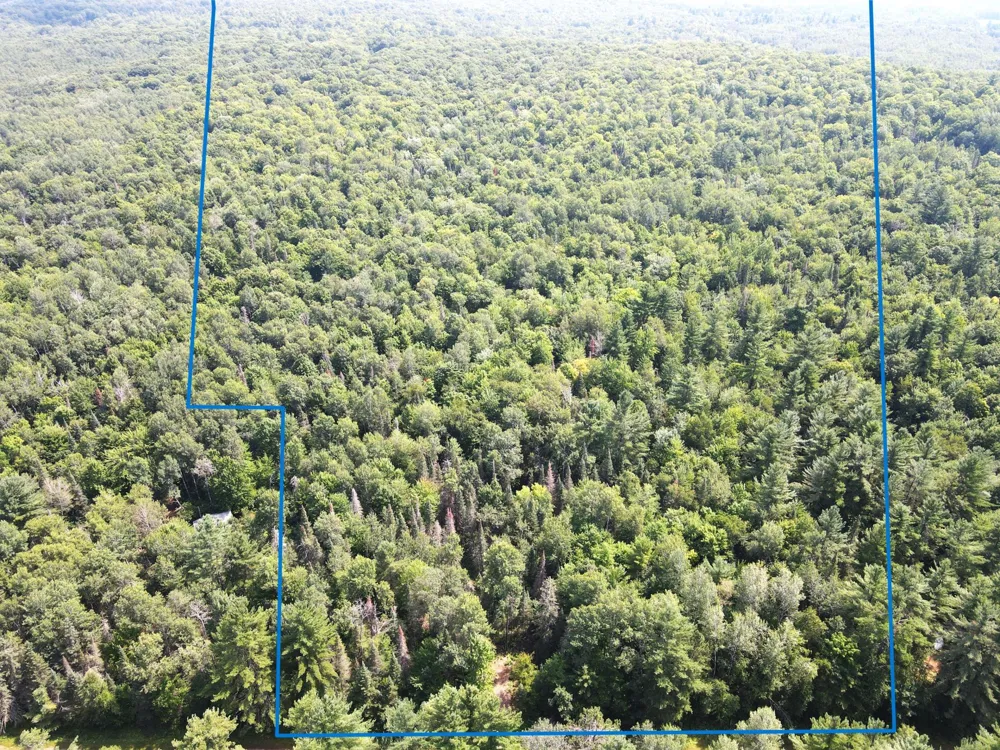 LOT 4 Smith Road Couderay, WI 54828