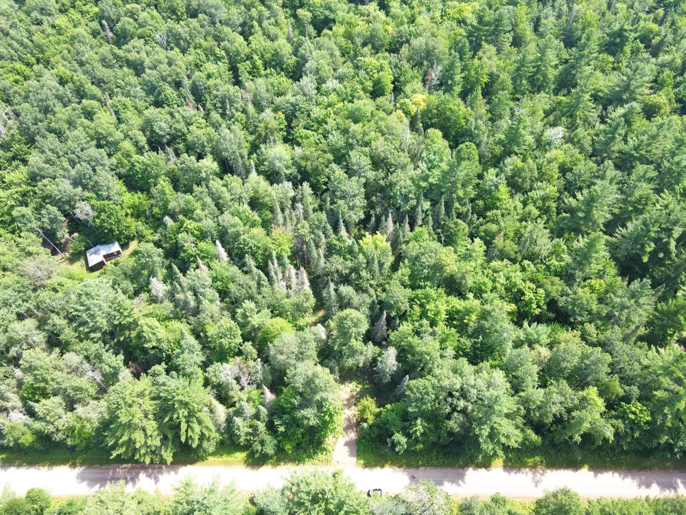LOT 4 Smith Road Couderay, WI 54828