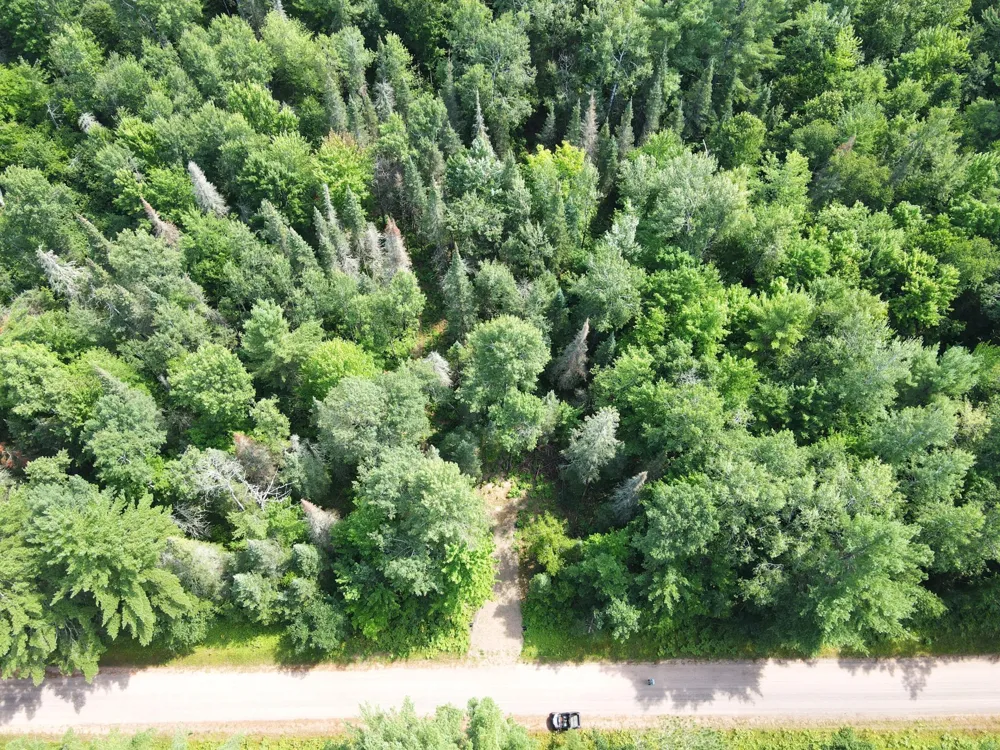 LOT 4 Smith Road Couderay, WI 54828