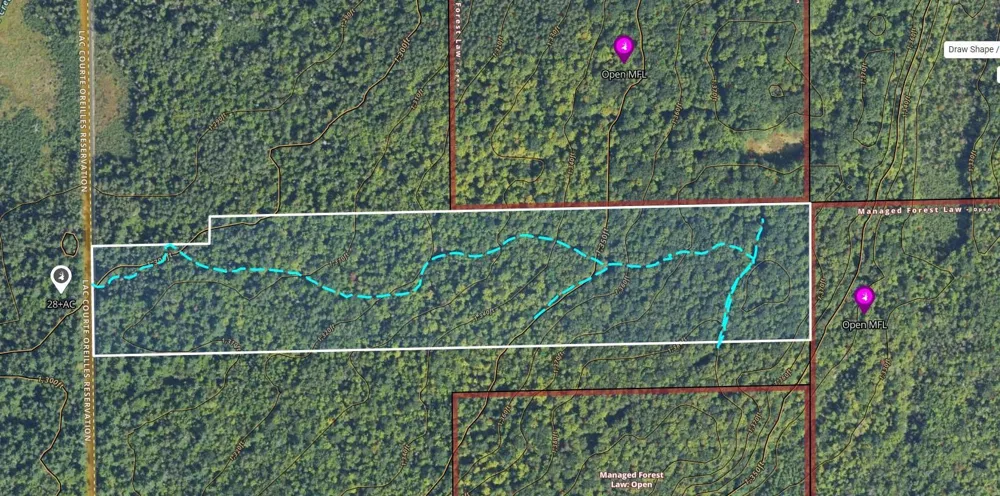 LOT 4 Smith Road Couderay, WI 54828