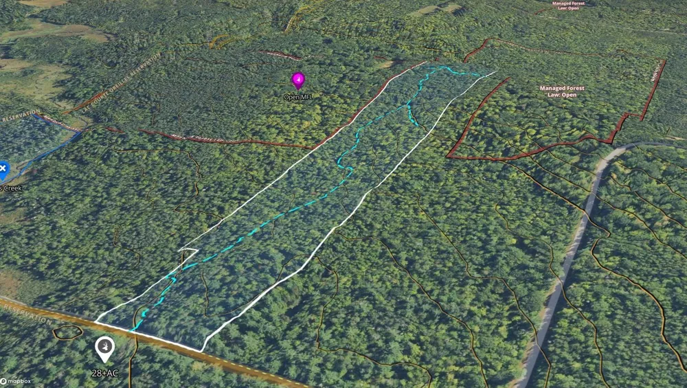 LOT 4 Smith Road Couderay, WI 54828