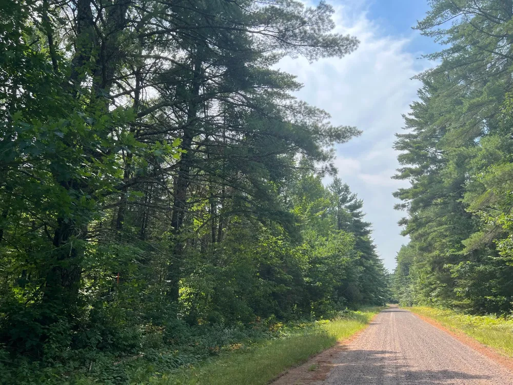 LOT 4 Smith Road Couderay, WI 54828