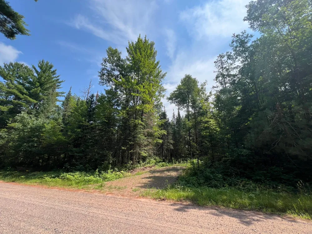 LOT 4 Smith Road Couderay, WI 54828