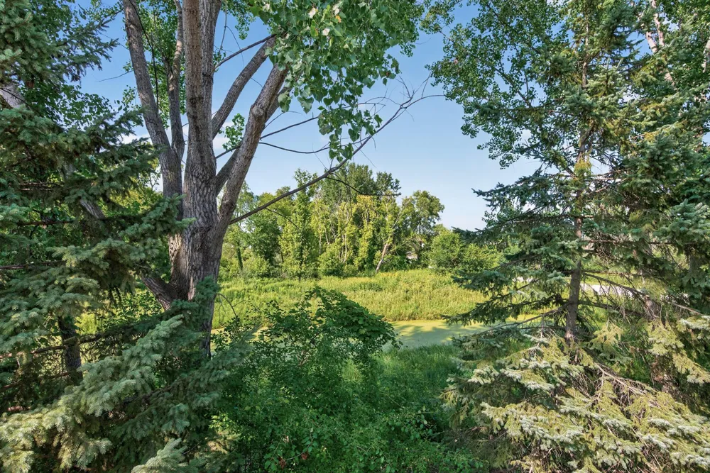 8808 Preserve Trail Savage, MN 55378