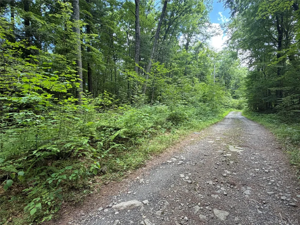 463 Main Street Saugerties, NY 12477