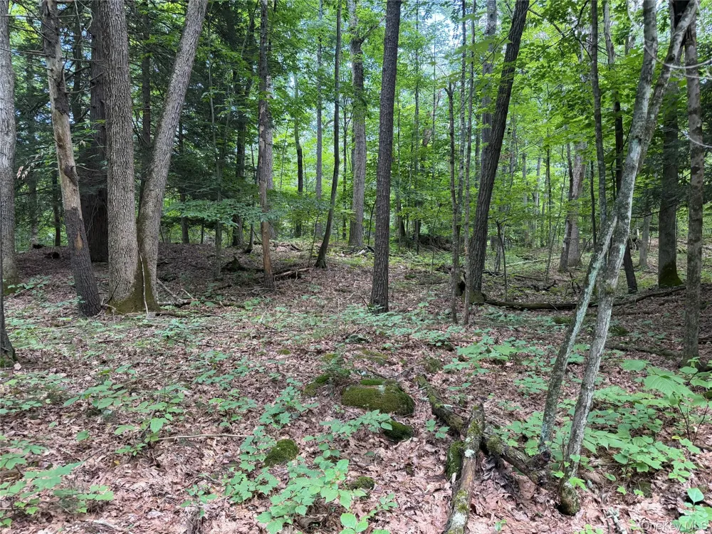 463 Main Street Saugerties, NY 12477